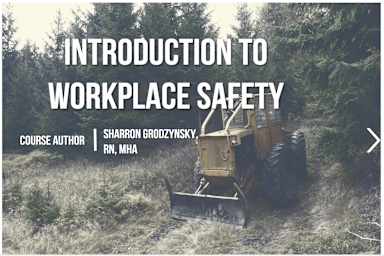 Introduction to Workplace Safety