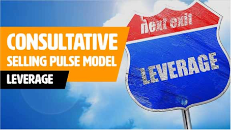 Consultative Selling PULSE Model - Leverage