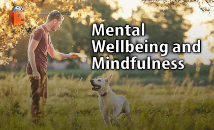 Mental Wellbeing and Mindfulness