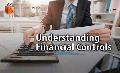 Understanding Financial Controls