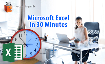 Microsoft Excel in 30 Minutes