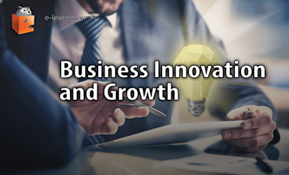 Business Innovation and Growth