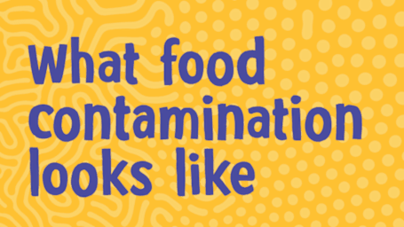 What food contamination looks like