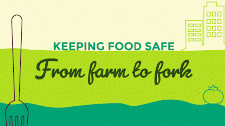 A safe food journey