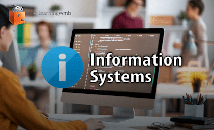 Information Systems