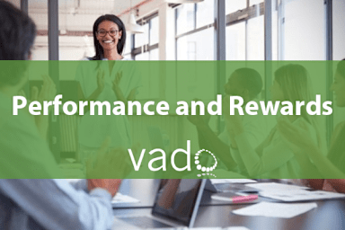 Performance and Rewards