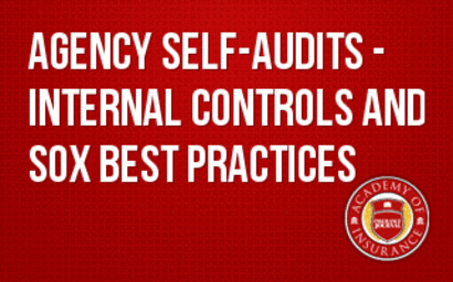 Agency Self Audits Internal Controls and SOX Best Practices