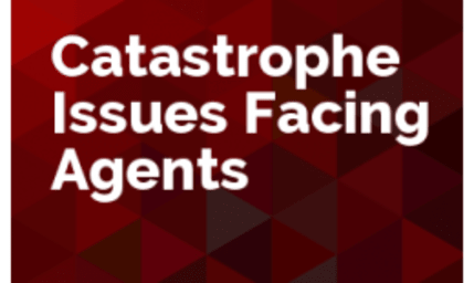 Catastrophe Issues Facing Agencies