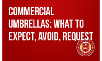 Commercial Umbrellas: What to Expect; What to Avoid; and What to Request
