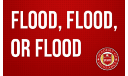 Flood, Flood, or Flood. What Does the Insured Mean When They Report a Flood