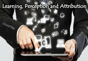 Perception, Attribution & Learning in Organizational Behavior