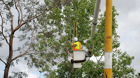 Electrical Clearances