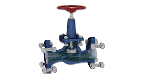 Globe Valves