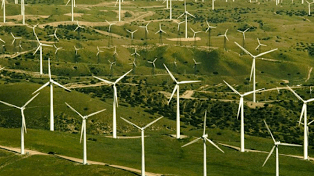 Wind Farm Design