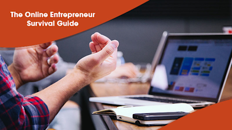 Online Entrepreneur Survival Guide