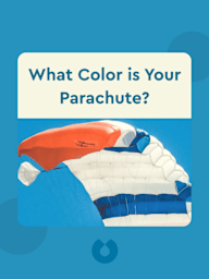 What Color is Your Parachute?