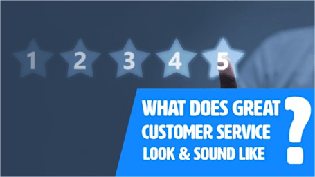What Does Great Customer Service Look & Sound Like? - Rapid Recall