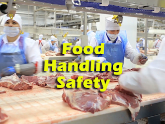 Food Handling Safety