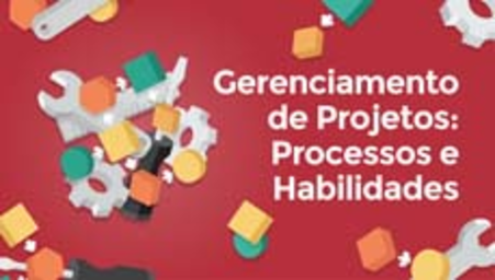 Gerenciamento de Projetos: Processos e Habilidades (Project management processes)