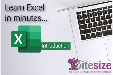 MS Excel 2019 - Introduction