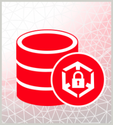 Introduction to SQL: Views, Transactions, and SQL Security Architecture