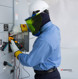 Sensibilisation aux arcs électriques - International (Electrical Arc Flash Awareness - International Canadian French)