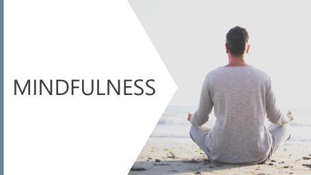 Mindfulness Video Plus