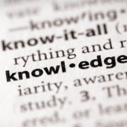 The Complete Idiot's Guide to Knowledge Management