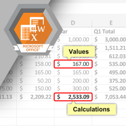 Entering Text and Values