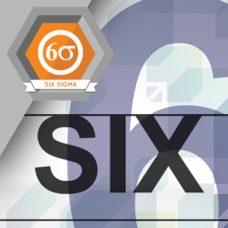 Six Sigma and the Organization