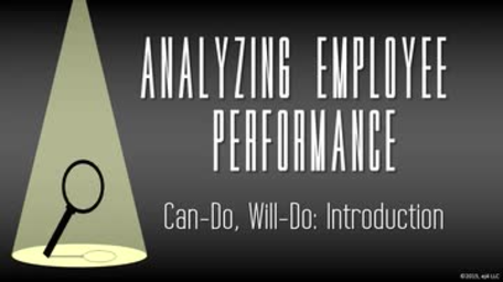 Analyzing Employee Performance: Can-Do, Will-Do: Introduction