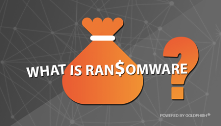 What is Ransomware?