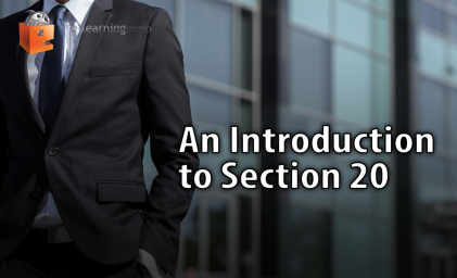 An Introduction to Section 20