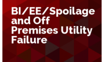 BI/EE/Spoilage and Off-Premises Utility Failure