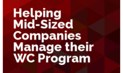 Helping Mid-Sized Companies Manage Their WC Program