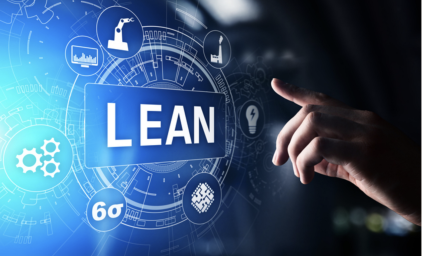 What are the Lean Six Sigma Principles?