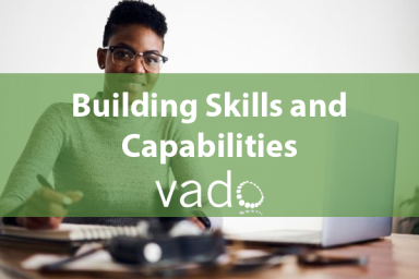 Building Skills and Capabilities