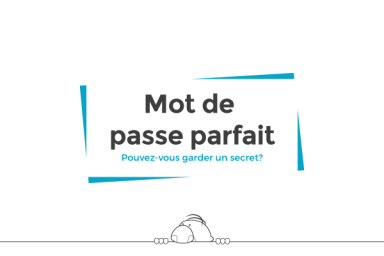 Mot de passe parfait (Perfect passwords)