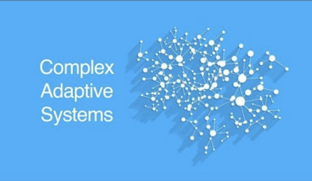 Complex Adaptive Systems