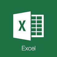 Excel 2003 PC image