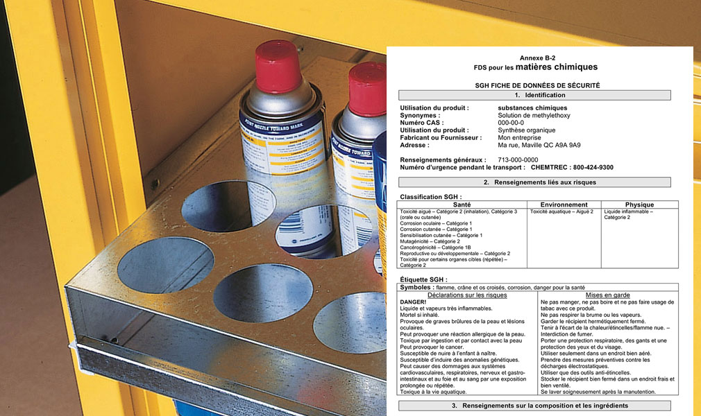 Système d’information sur les matières dangereuses utilisées au travail (WHMIS) - Partie 2: Fonctionnement du WHMIS (Workplace Hazardous Materials Information System (WHMIS) - Part 2: How WHMIS Works French)