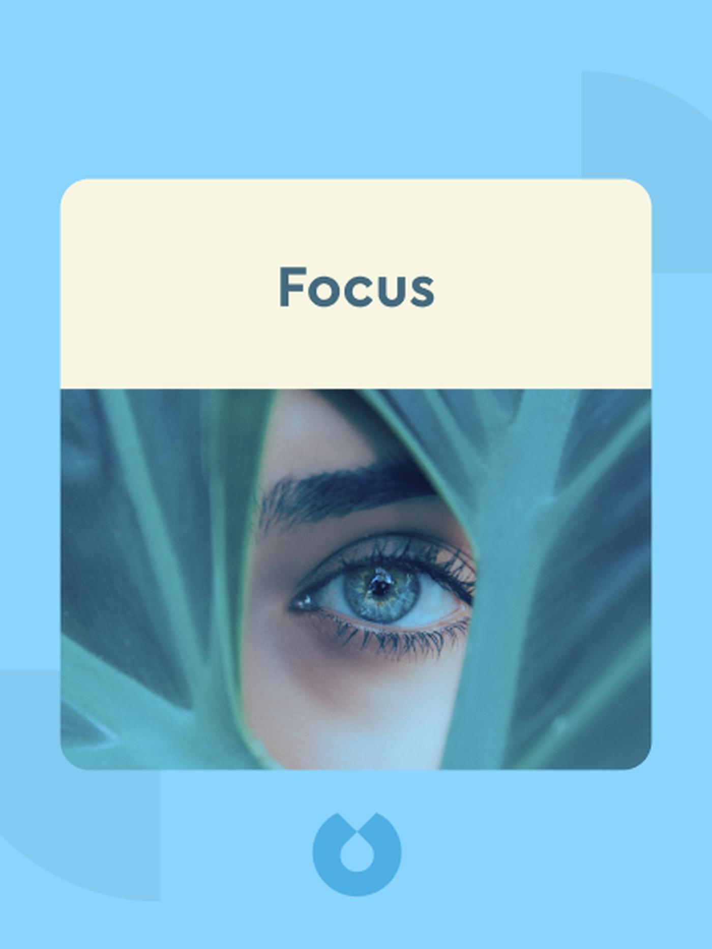 Focus