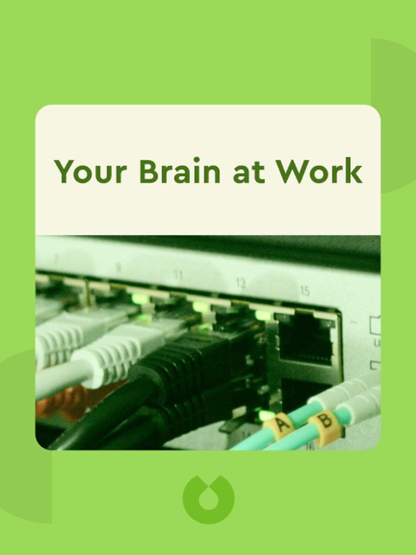 Your Brain at Work