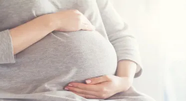 باقة متابعة الحمل