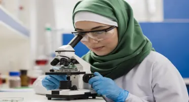 الباقة الشاملة