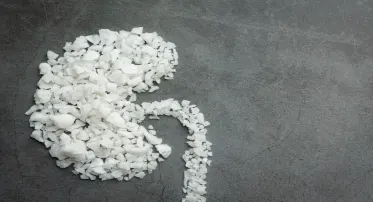 باقة صحة الكلى