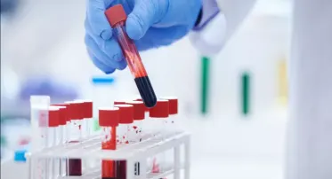 باقة الفيتامينات والمعادن