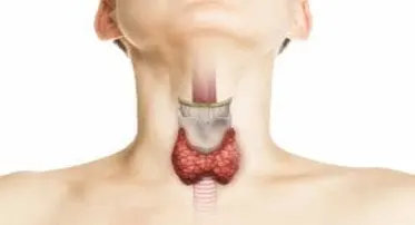 Thyroid Package