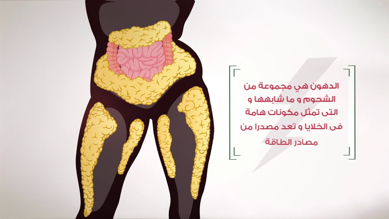 باقة فحص الدهون