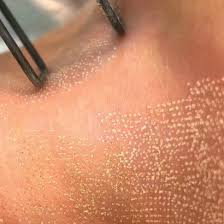 جلسه فراكشنال
